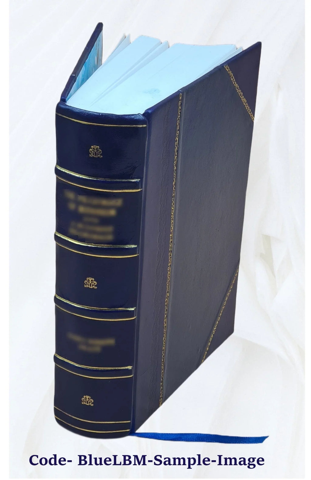 [Leather Student Introduction FSI - German Bound] Text - Programmed