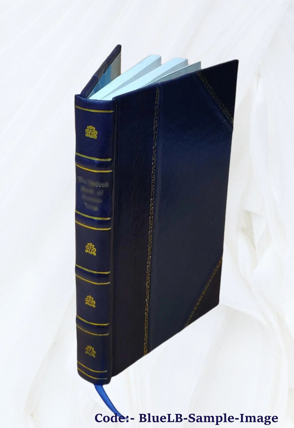 Annals [Leather Bound] of house. a doss 1900