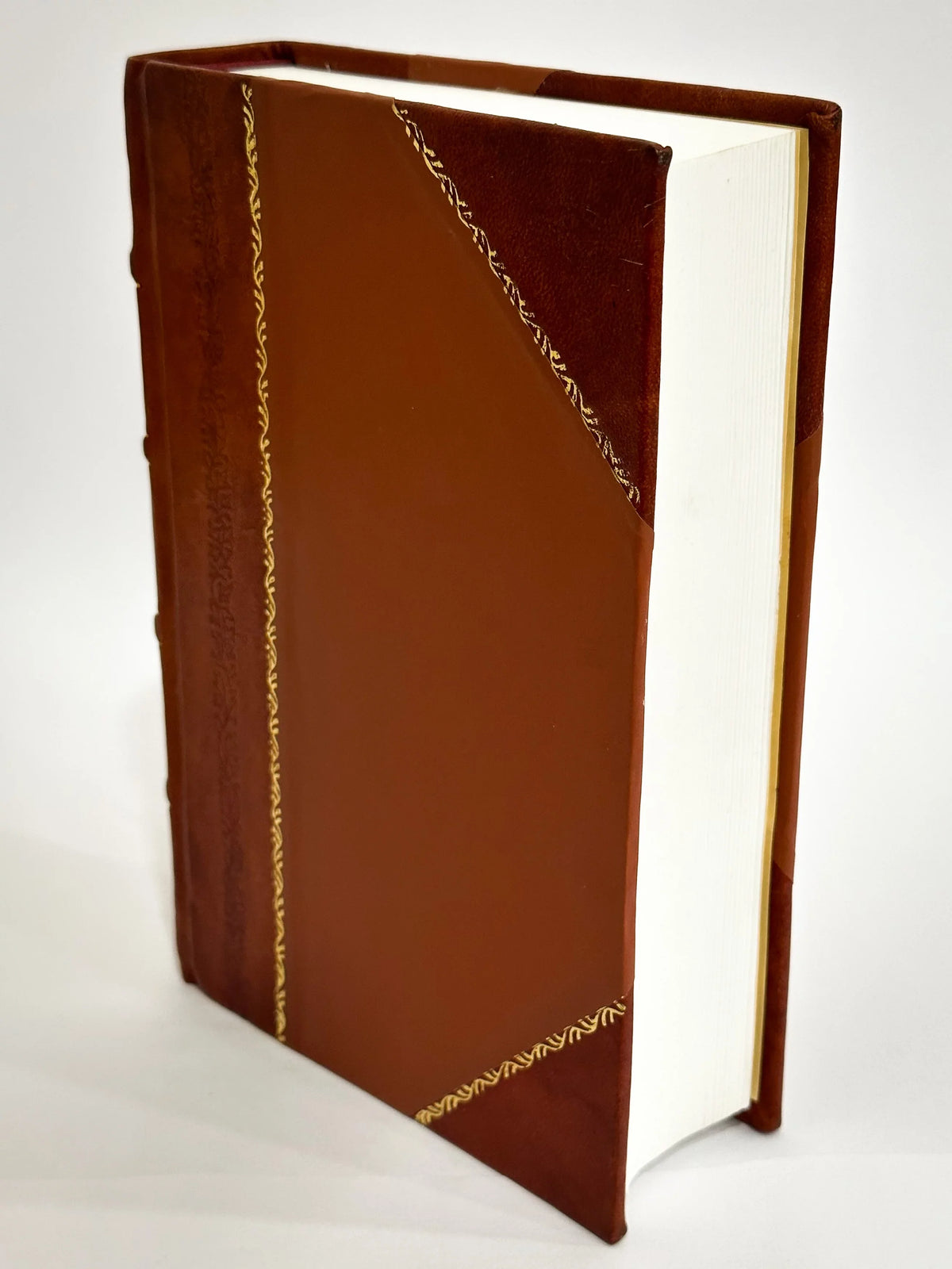 [Leather Omnia Opera Bound] (1551) Divini Platonis