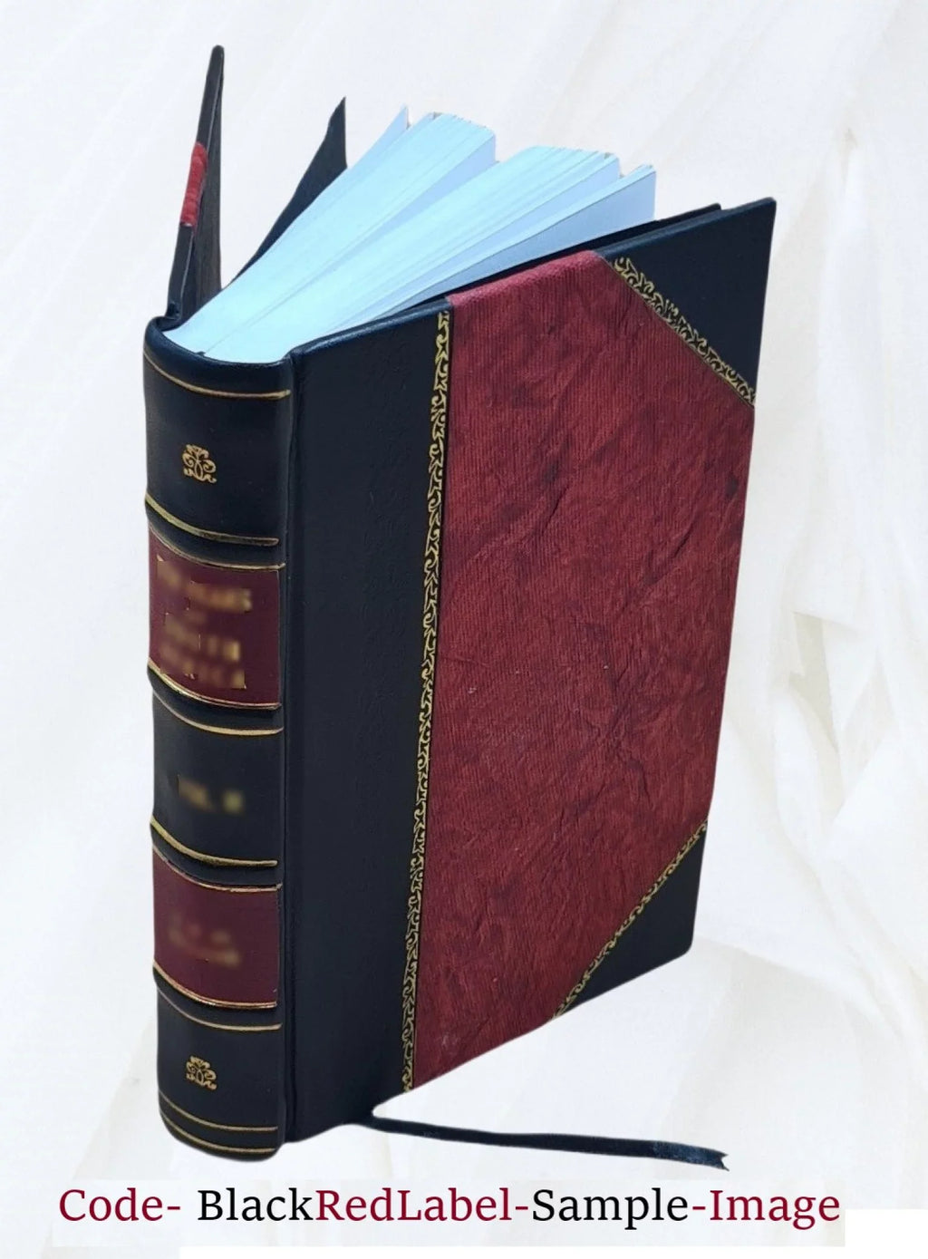 Escorial de del Bound] San monasterio Descripcion 1764 Lorenzo del [Leather real