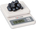 Compact Taylor White Scale Precision Digital Products