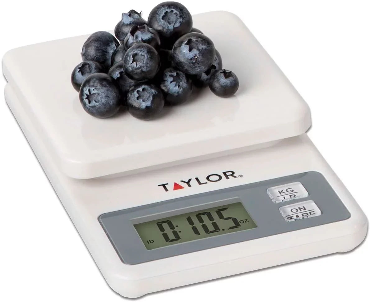 Compact Taylor White Scale Precision Digital Products