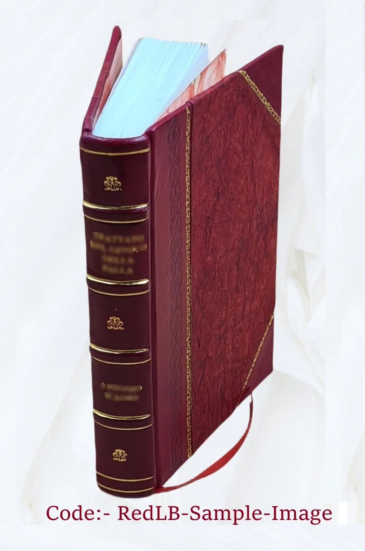Annals [Leather Bound] of house. a doss 1900