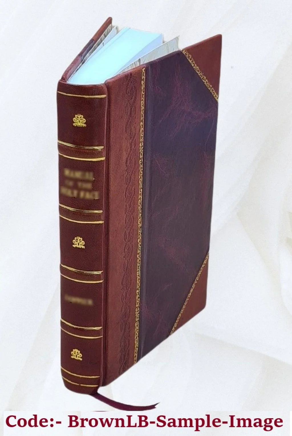 Annals [Leather Bound] of house. a doss 1900