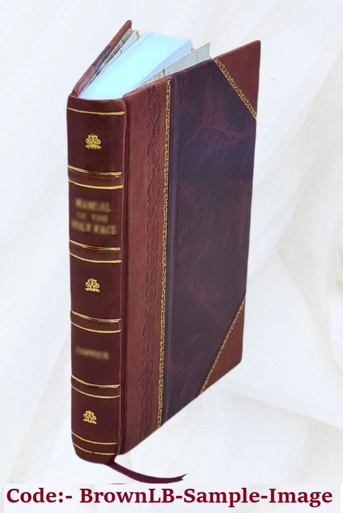 Annals [Leather Bound] of house. a doss 1900