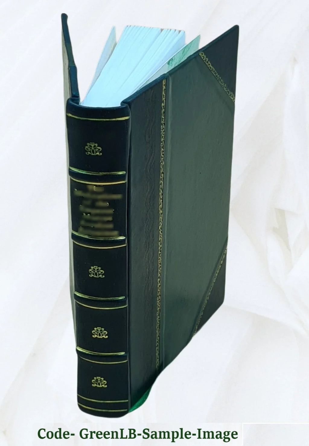 clinico [Leather e Brera professore Bound] consigliere del cav. Ricettario signor 1826 ValerianoLuigi